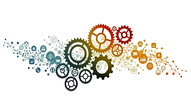 Transdisciplinary Research Promotes Societal Impact Through Collaborative Approaches