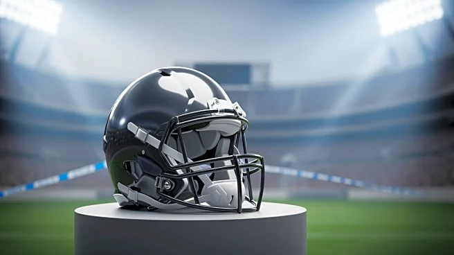 NFL Fines Ravens Star Rashod Bateman for Abuse of an Official