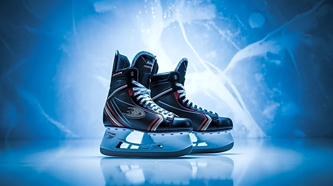 Anaheim Ducks Aim for Seventh Consecutive Win Against Winnipeg Jets