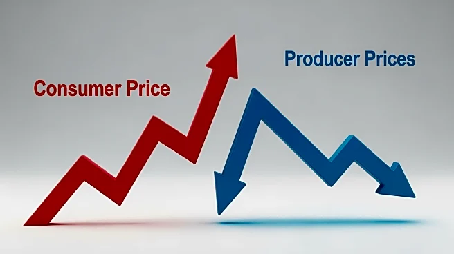 China's Consumer Prices Rebound in October Amid Ongoing Producer Price Slump