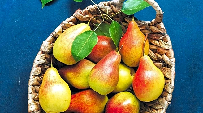 Your Produce Man Explores Fresh Pears in Oregon