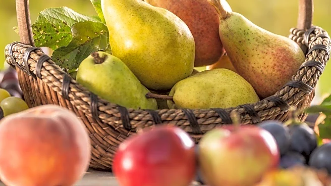 CBS News Explores Oregon's Pear Harvest with Your Produce Man