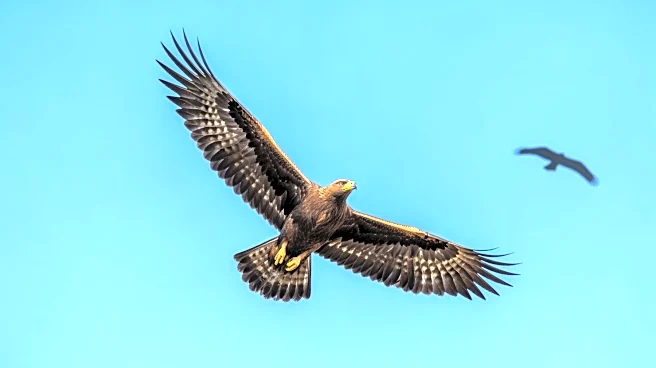 Luke Gray Leads Oral Roberts to Dominant Victory Over John Brown