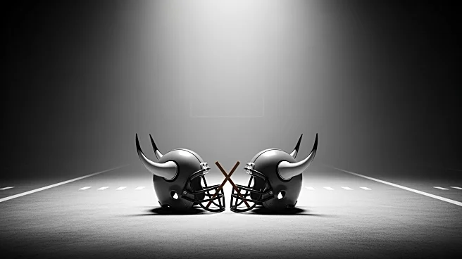 Minnesota Vikings Announce Inactive Players for Game Against Baltimore Ravens