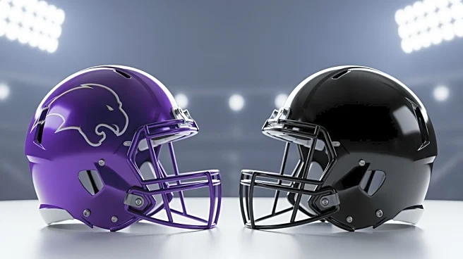 Baltimore Ravens Face Minnesota Vikings in Crucial NFL Week 10 Matchup