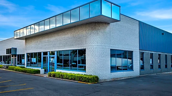 Arcadia Art Consultancy Expands with Relationship-First Approach