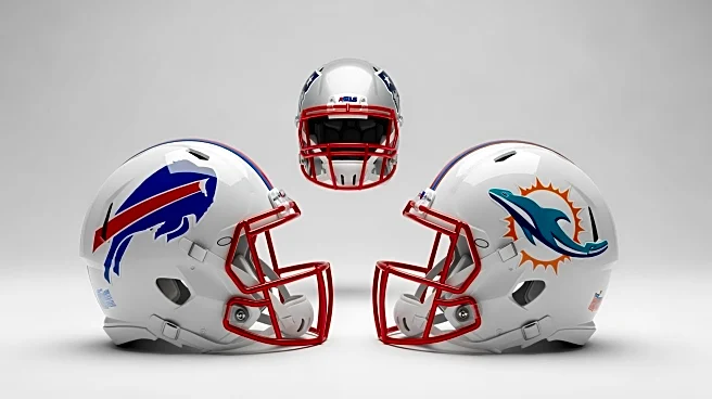 AFC East Standings Shift as Bills Lose to Dolphins and Patriots Win