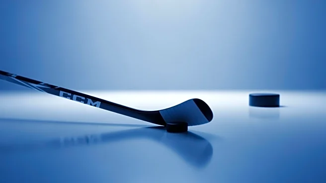 Penguins' Erik Karlsson Anticipates Stockholm Global Series Amid Team Injuries