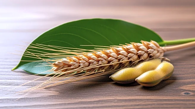 Top Agriculture Stocks to Watch: Deere, Corteva, and Bunge