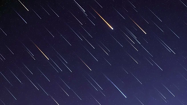 Leonids Meteor Shower Peaks, Offering Spectacular Night Sky Display