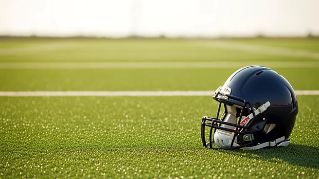 Ravens' Jay Higgins Suffers Leg Injury, Potentially Impacting Special Teams