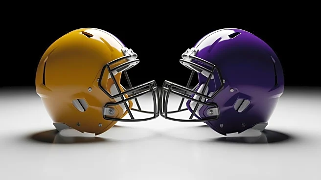 Minnesota Vikings Suffer Defeat Against Baltimore Ravens Due to Second Half Errors