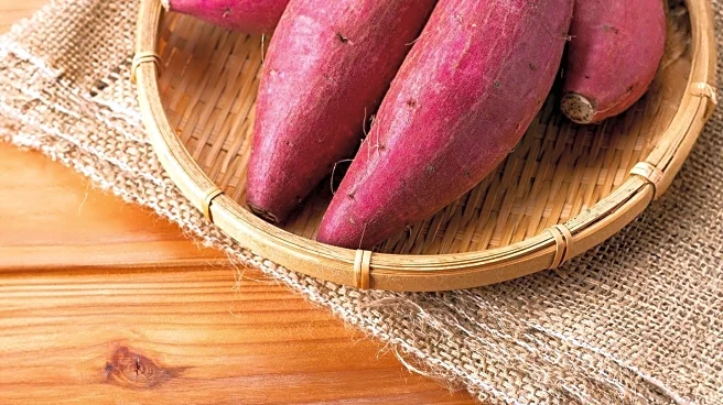 Sweet Potatoes and Their Impact on Blood Sugar Levels: Insights for Diabetes Management