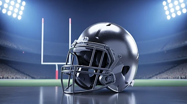 Baltimore Ravens vs. Minnesota Vikings: NFL Game Broadcast Details and Viewing Options