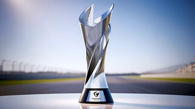 Lando Norris Wins Sao Paulo GP, Extends F1 Championship Lead