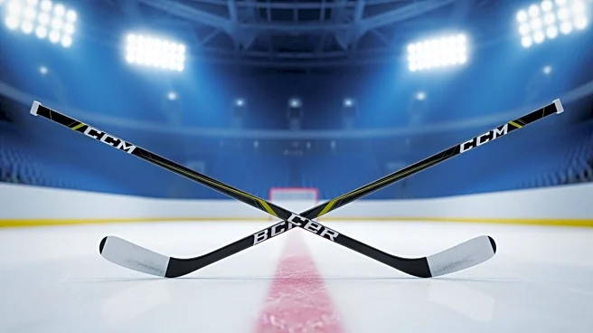 New York Rangers Face Continued Struggles with Fifth Shutout Loss at Home