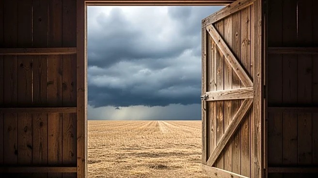 Government Shutdown and Trade Wars Severely Impact U.S. Farmers' Financial Stability