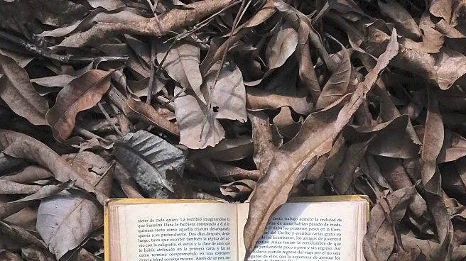 Author Oke Ewule Writes Book on Grief After Son's Cancer Death, Aims to Help Families