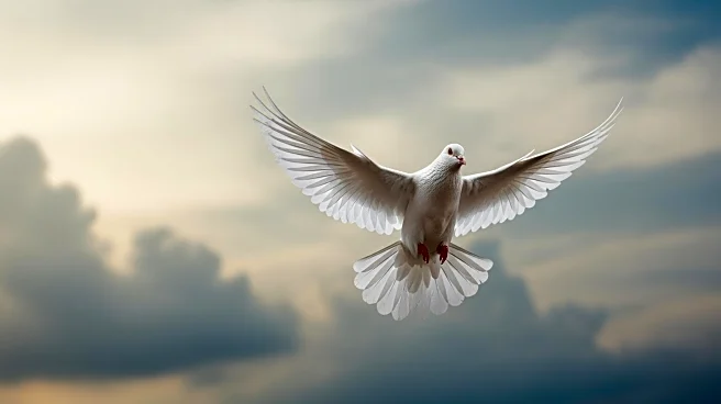 Israel Returns Bodies of 15 Palestinians as Gaza Ceasefire Progresses