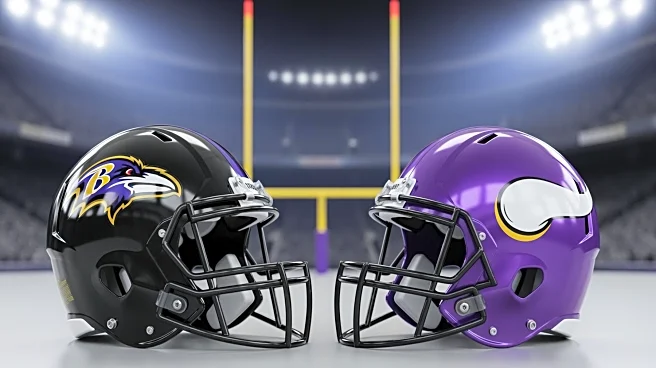 Baltimore Ravens Defense Leads Team to Victory Against Minnesota Vikings