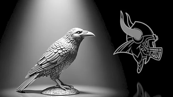 Baltimore Ravens Defense Shines in Win Against Minnesota Vikings