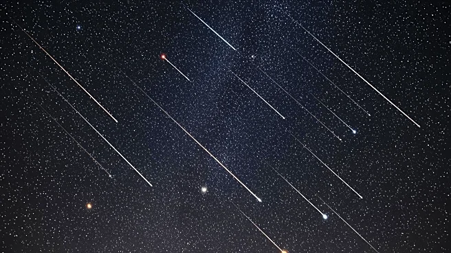 Leonids Meteor Shower Reaches Peak Visibility