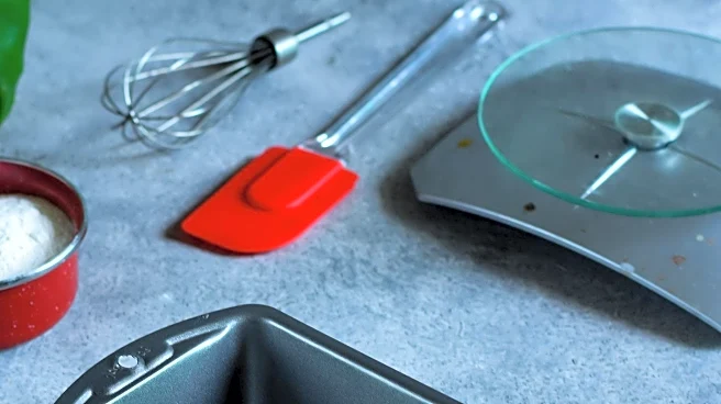 OXO Kitchen Scale: A Reliable Tool for Precision Baking
