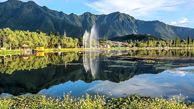 Revelstoke's Personal Assistant Services Offers Support for Seniors and Vacationers