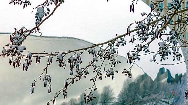 Geneva's Cocoa Crawl Offers Warmth and Community During Cold Snap