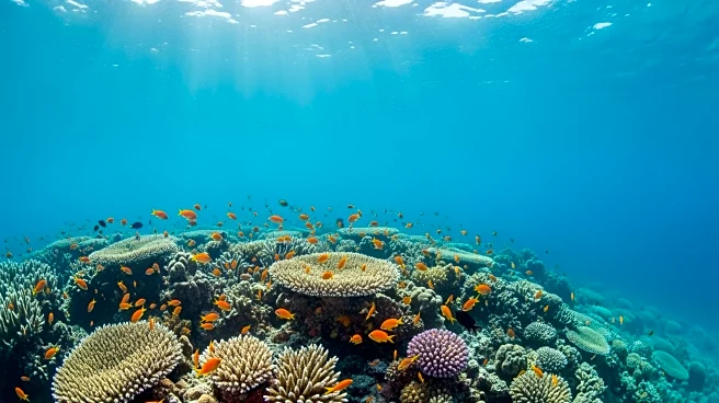 University of Queensland Study Highlights Potential Partial Recovery of Great Barrier Reef with Controlled Global Warming