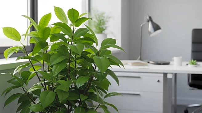 Workforce Well-being Ecosystem Market Expands with Corporate Investment