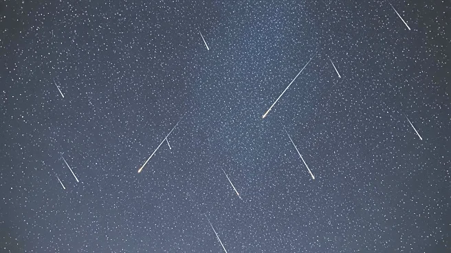 Leonid Meteor Shower Peaks on November 17 for Optimal Viewing