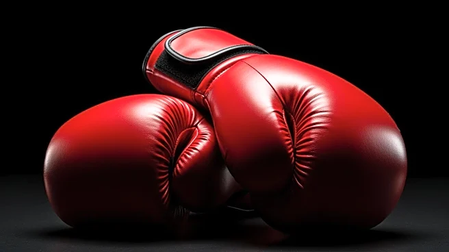 UFC Legend Andrei Arlovski Wins Boxing Debut with Knockout Victory