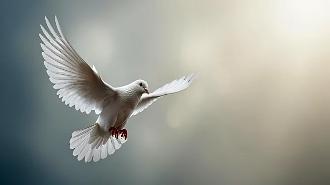 Caroline Flack's Tragic Death Explored in New Docuseries