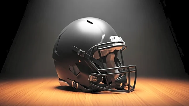 Ravens' John Harbaugh Comments on Controversial Tackle in Vikings Game