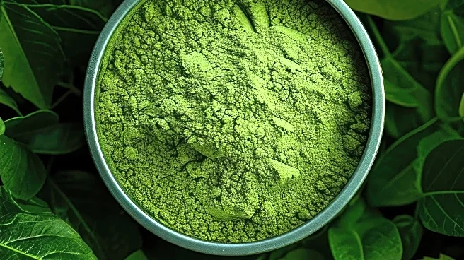 CNET Reviews Top Matcha Powders of 2025 for Quality and Taste