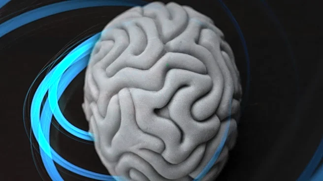 New Research Reveals Brain Activity During Zoning Out