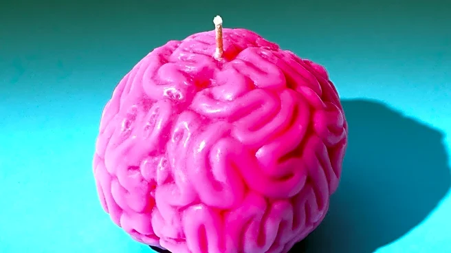 Study Links Anxiety Disorders to Low Brain Choline Levels