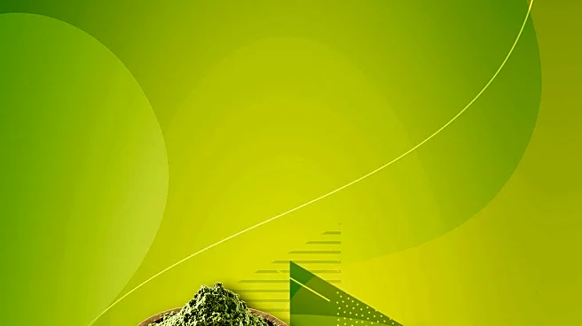 New Supplement Developed to Combat Iron Deficiency and Anemia