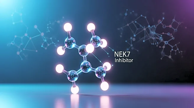 Halia Therapeutics Unveils Promising Data on NEK7 Inhibitor Ofirnoflast at Hematology Meeting