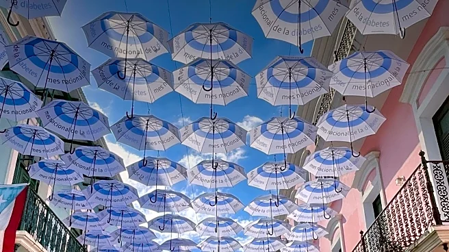 World Diabetes Day 2025: Promoting Diabetes Care and Support