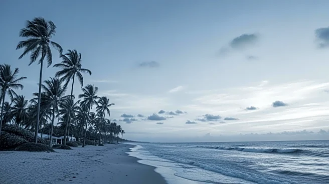 South Florida Experiences Cooler Temperatures Due to Arctic Air on Veterans Day