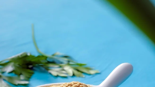 New Dietary Supplement Offers Promising Solution for Iron Deficiency and Anemia