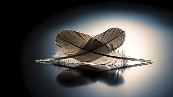 Islam Makhachev's Career Decisions Influenced by Khabib Nurmagomedov Ahead of UFC 322