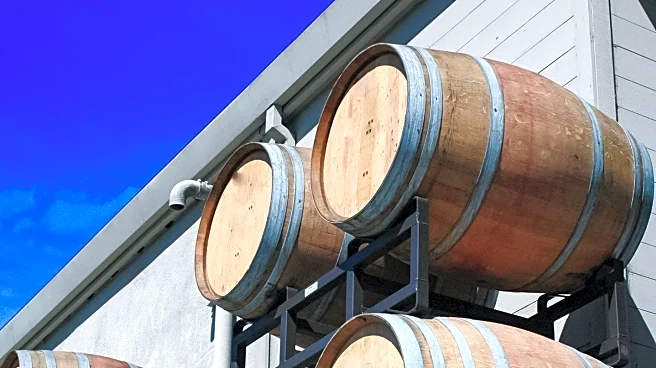 Barebottle Brewing Co. Showcased in Discover Santa Clara Series