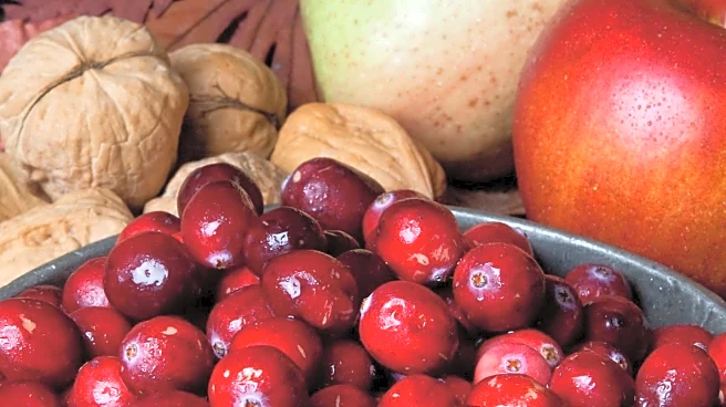 The Gourmandise School Offers Thanksgiving Dinner Preparation Tips for Home Cooks