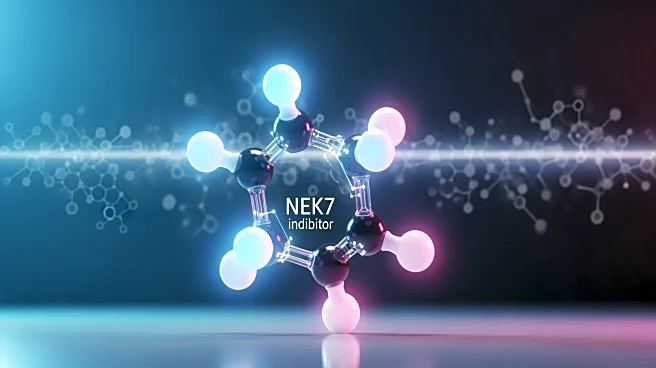 Halia Therapeutics to Present Data on NEK7 Inhibitor at Hematology Meeting