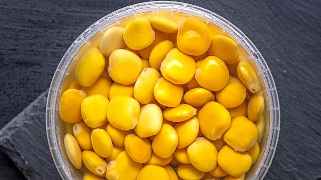 Brii Biosciences Reports Phase 2 ENSURE Study Data on BRII-179 for Hepatitis B