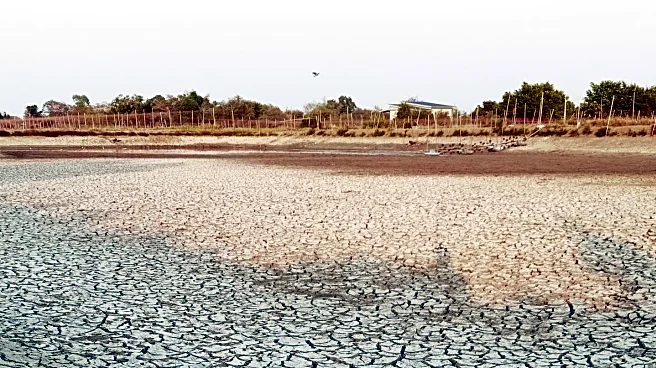 Research Identifies Low Choline Levels in Anxiety Disorders