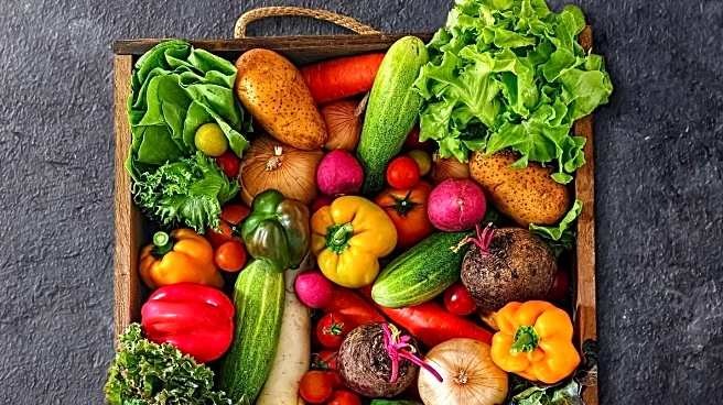 Nutritionists Recommend Dietary Changes to Combat Cold Season